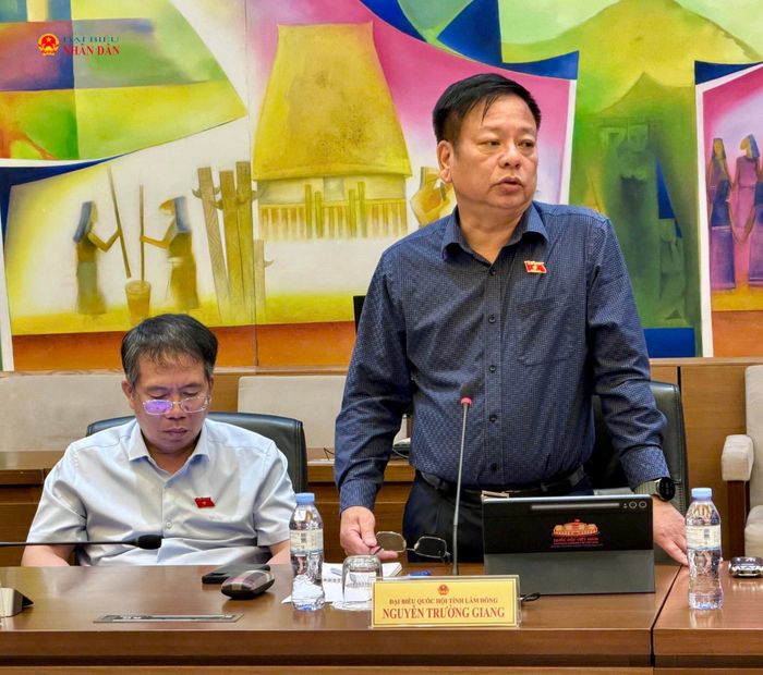 ĐBQH Nguyễn Trường Giang (Lâm Đồng) phát biểu