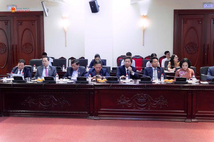 Các đại biểu tham dự Lễ ra mắt
