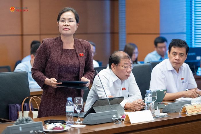ĐBQH Nguyễn Thị Hồng Hạnh (TP. Hồ Chí Minh) phát biểu thảo luận tại Tổ 2