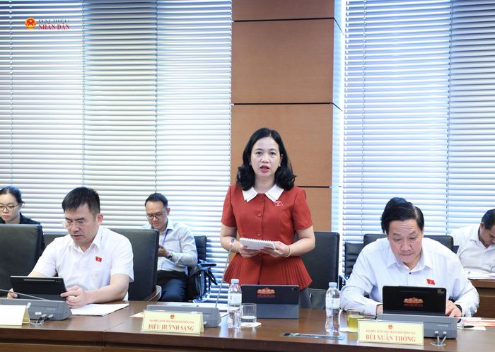 ĐBQH Điểu Huỳnh Sang (TP. Đồng Nai) phát biểu thảo luận tại Tổ 6