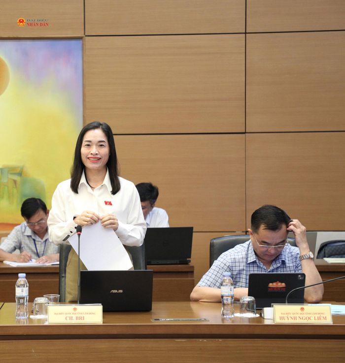 ĐBQH Cil Bri (Lâm Đồng) phát biểu thảo luận tại Tổ 7
