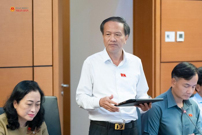 ĐBQH Đinh Ngọc Minh (Cà Mau) phát biểu thảo luận tại Tổ 8