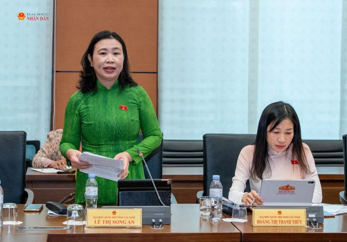 ĐBQH Lê Thị Song An (Tây Ninh) phát biểu thảo luận tại Tổ 3
