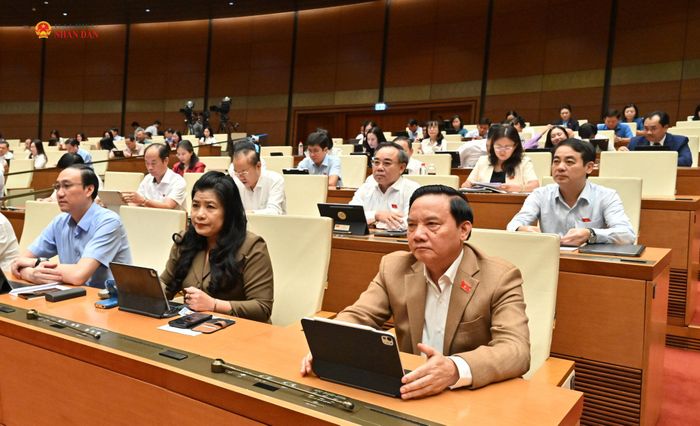 Phó Chủ tịch Quốc hội Nguyễn Khắc Định và các đại biểu dự phiên họp