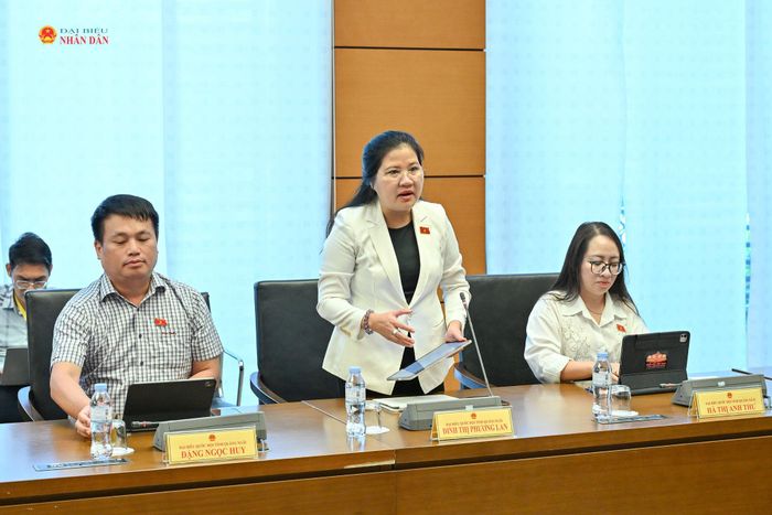 ĐBQH Đinh Thị Phương Lan (Quảng Ngãi) phát biểu thảo luận Tổ 11