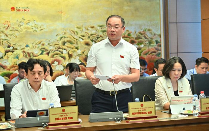 ĐBQH Nguyễn Ngọc Việt (TP. Hà Nội) phát biểu thảo luận tại Tổ 1