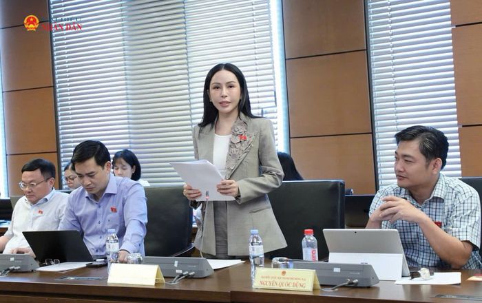 ĐBQH Lê Nữ Thùy Dương (TP. Đồng Nai) phát biểu thảo luận tại Tổ 6