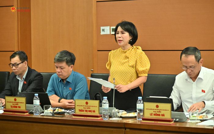 ĐBQH Trần Thị Nhị Hà (TP. Hà Nội) phát biểu thảo luận tại Tổ 1