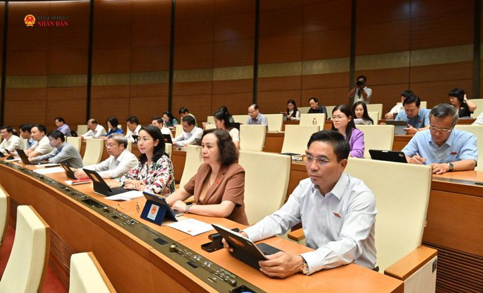Phó Chủ tịch Quốc hội Nguyễn Doãn Anh và các đại biểu dự phiên họp