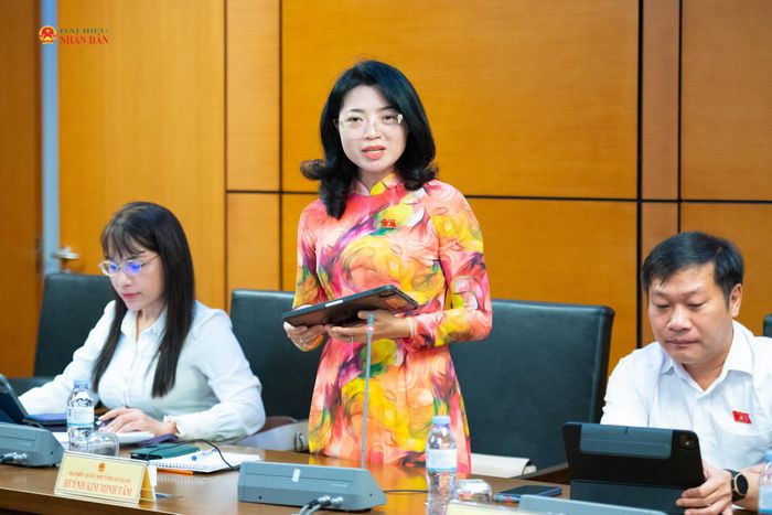 ĐBQH Huỳnh Kim Minh Tâm (An Giang) phát biểu thảo luận tại Tổ 13