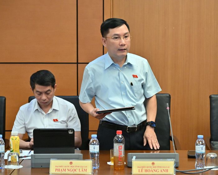 ĐBQH Lê Hoàng Anh (Gia Lai) phát biểu thảo luận tại Tổ 5