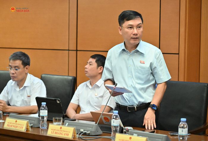 ĐBQH Lê Hoàng Anh (Gia Lai) phát biểu thảo luận tại Tổ 5