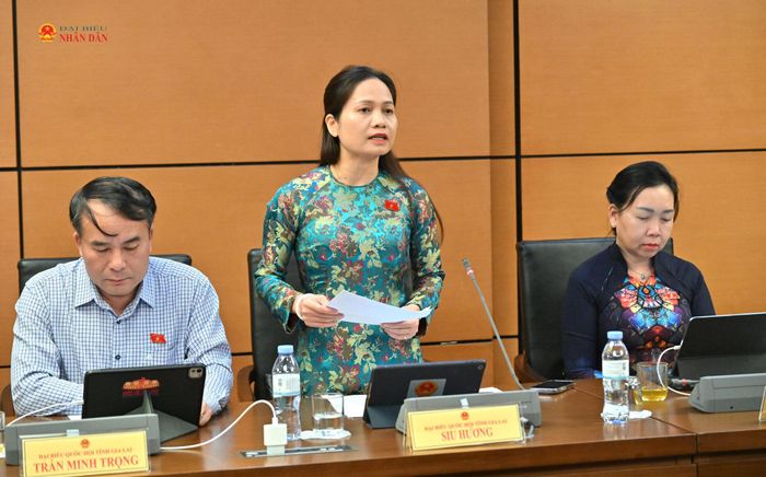 ĐBQH Siu Hương (Gia Lai) phát biểu thảo luận tại Tổ 5