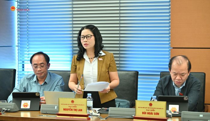 ĐBQH Nguyễn Thị Lan (TP. Hà Nội) phát biểu thảo luận tại Tổ 1