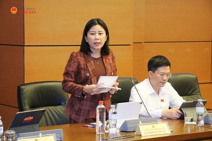 ĐBQH Lê Đào An Xuân (Đắk Lắk) phát biểu thảo luận tại Tổ 16