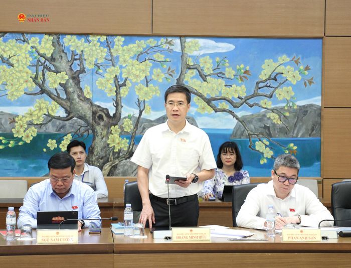 ĐBQH Hoàng Minh Hiếu (Nghệ An) phát biểu thảo luận tại Tổ 7