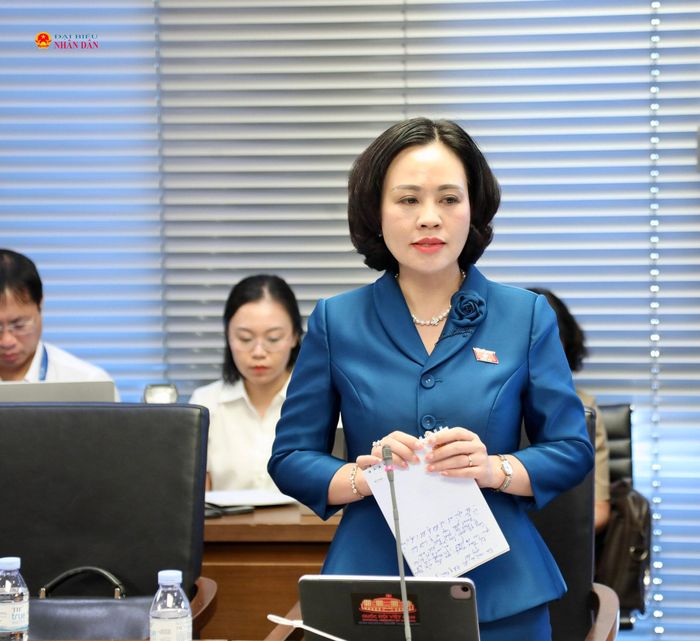 ĐBQH Trần Thị Hồng Thanh (Ninh Bình) phát biểu thảo luận tại Tổ 10
