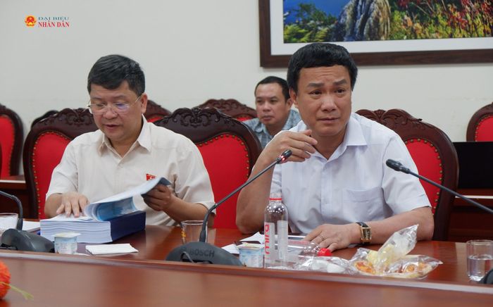 Phó Chủ nhiệm Ủy ban Văn hóa và Xã hội Triệu Thế Hùng phát biểu tại cuộc làm việc