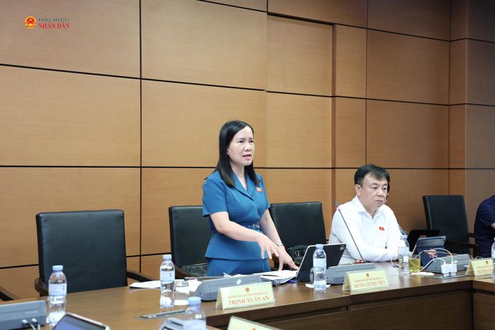 ĐBQH Trương Thị Diệu Thúy (TP. Đồng Nai) phát biểu