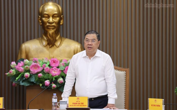 Phó Thủ tướng Thường trực Phạm Gia Túc phát biểu tại buổi làm việc - Ảnh: VGP.