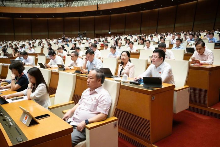  Các đại biểu dự phiên họp. 