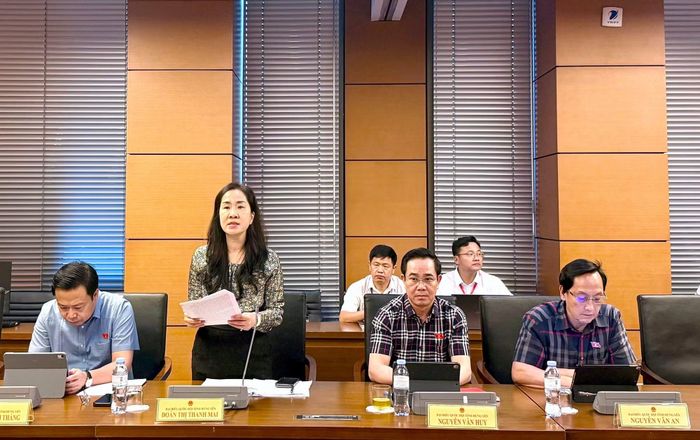  Đại biểu Quốc hội Đoàn Thị Thanh Mai (Đoàn Hưng Yên) thảo luận tại tổ chiều 19/8. 