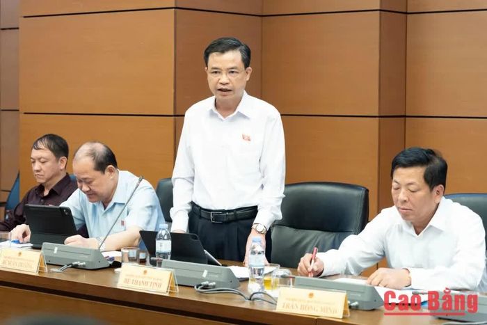 Đại biểu Bế Thanh Tịnh, Phó Bí thư Thường trực Tỉnh ủy, Trưởng Đoàn đại biểu Quốc hội tỉnh Cao Bằng phát biểu tại tổ.