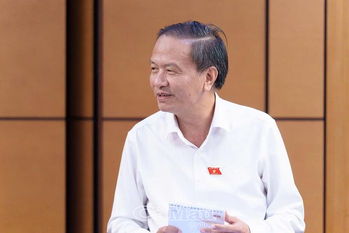 Đại biểu Đinh Ngọc Minh, Uỷ viên chuyên trách Uỷ ban Kinh tế và Tài chính của Quốc hội, phát biểu tại phiên thảo luận.