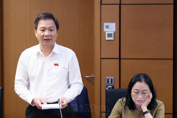 Đại biểu Nguyễn Bình Tân, Phó Trưởng đoàn chuyên trách Đoàn ĐBQH tỉnh Cà Mau, phát biểu tại phiên thảo luận.