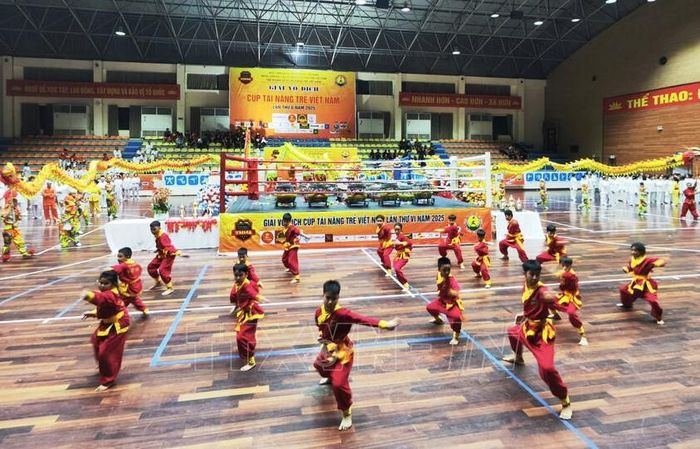 Giải Vô địch Võ thuật Tài năng trẻ Việt Nam lần thứ 7 năm 2026 sẽ diễn ra từ ngày 23/8 - 26/8. Ảnh minh họa: TTXVN