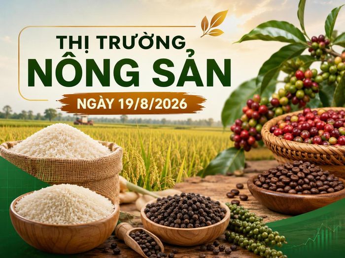 Thị trường nông sản sáng 19/8: Cà phê tăng, heo hơi giảm, sầu riêng phân hóa. Ảnh minh họa được tạo với sự hỗ trợ của AI