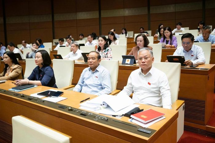Các đại biểu tham dự phiên họp. Ảnh: quochoi.vn