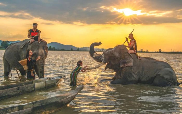  Du khách trải nghiệm khoảnh khắc gần gũi với voi giữa không gian sông nước, hòa mình vào cảnh sắc thiên nhiên và văn hóa đặc trưng của vùng đất Tây Nguyên.( Ảnh minh hoạ)