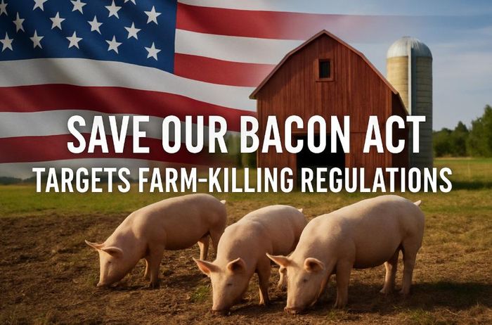 Dự luật Save Our Bacon Act bị đánh giá là chính sách đem lợi ích cho doanh nghiệp Trung Quốc