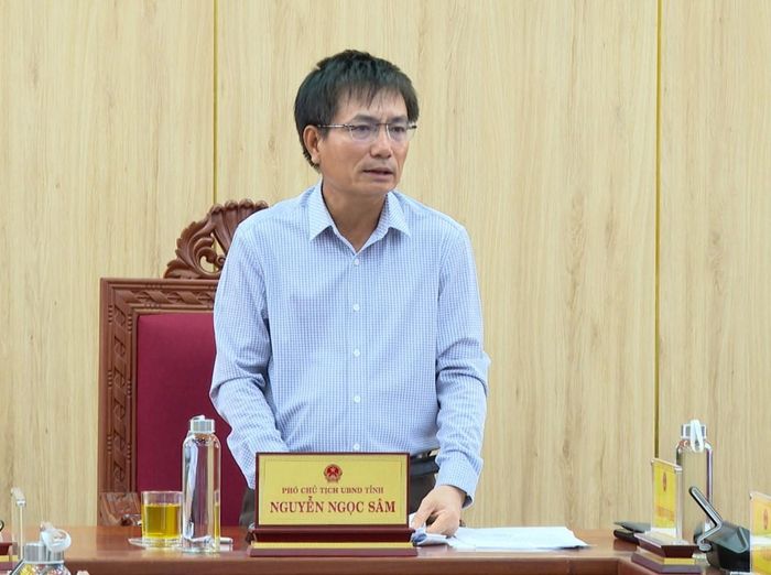 Phó Chủ tịch UBND tỉnh Nguyễn Ngọc Sâm chủ trì buổi làm việc
