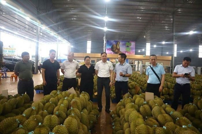 Sầu riêng Đắk Lắk hướng đến sản xuất an toàn, truy xuất nguồn gốc, nâng cao giá trị và phát triển bền vững gắn với bảo vệ môi trường.