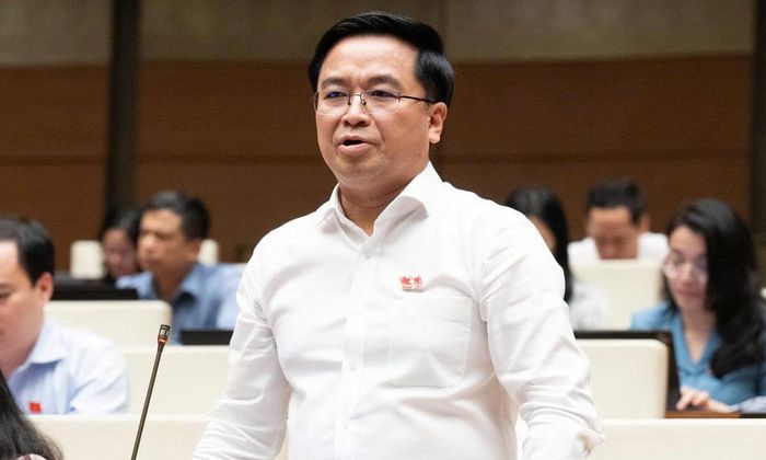 Đại biểu Quốc hội Bùi Xuân Hải. (Ảnh: Quốc hội)