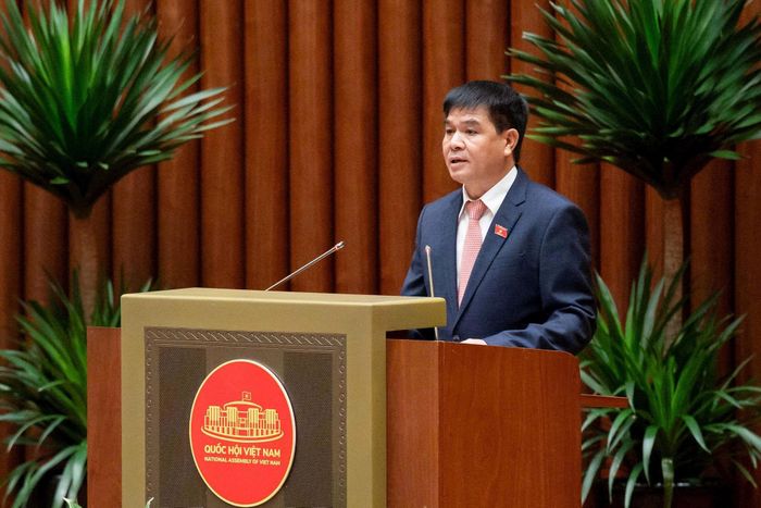 Phó Chủ nhiệm Uỷ ban Kinh tế và Tài chính Nguyễn Hữu Toàn thẩm tra tờ trình tại kỳ họp. Ảnh: media.quochoi.vn