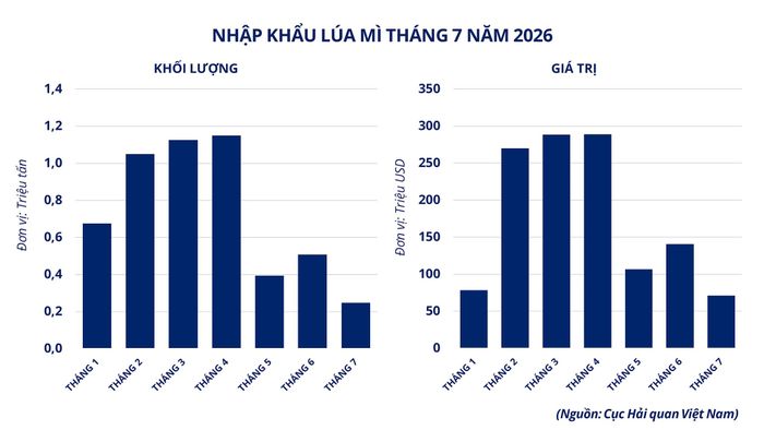 Nhập khẩu lúa mì đến tháng 7-2026 của Việt Nam. Nguồn: MXV