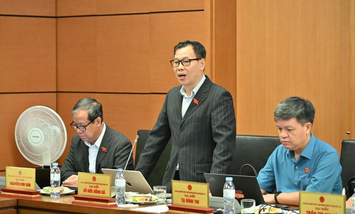 Đại biểu Đỗ Đức Hồng Hà (Đoàn thành phố Hà Nội) phát biểu thảo luận tại Tổ. Ảnh: Quốc Khánh