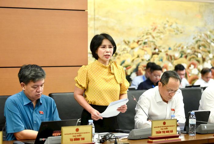 Đại biểu Trần Thị Nhị Hà (Đoàn Hà Nội) phát biểu thảo luận. Ảnh: Như Ý