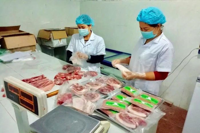 Hà Nội đã và đang từng bước chuyển dịch từ tư duy tập trung vào sản lượng sang phát triển nông nghiệp theo hướng nâng cao chất lượng. Ảnh: PV