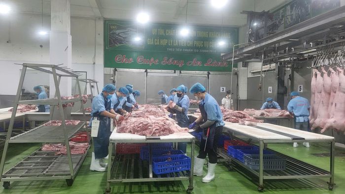 Hà Nội đã hỗ trợ doanh nghiệp khai thác những lợi thế từ các hiệp định thương mại tự do, trong đó có CPTPP, EVFTA và một số cam kết thương mại mới, qua đó mở rộng cơ hội tiếp cận thị trường quốc tế. Ảnh: PV