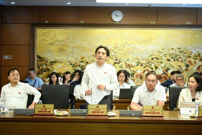 Đại biểu Quốc hội Trần Việt Anh phát biểu thảo luận tổ. Ảnh: Như ý