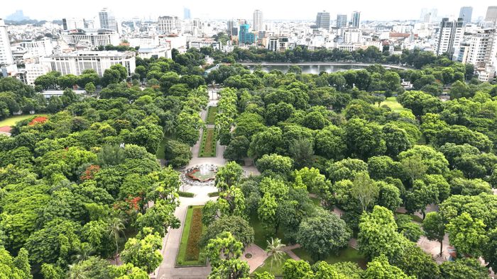 Công viên Thống Nhất từng bước phát huy vai trò “lá phổi xanh” giữa lòng Thủ đô. Ảnh: Nguyễn Công