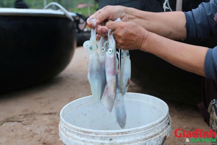 Khoảng 4-5h sáng, những chiếc thuyền thúng bắt đầu trở về bến sau một đêm câu mực. (Ảnh: Song Hoàng)