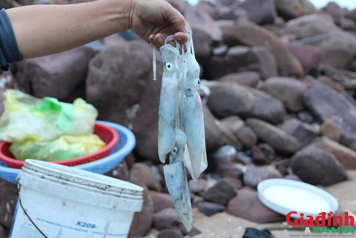 Bình minh lên cũng là lúc một chuyến biển kết thúc; ngư dân thu xếp ngư cụ, chuẩn bị cho chuyến ra khơi tiếp theo. (Ảnh: Song Hoàng)