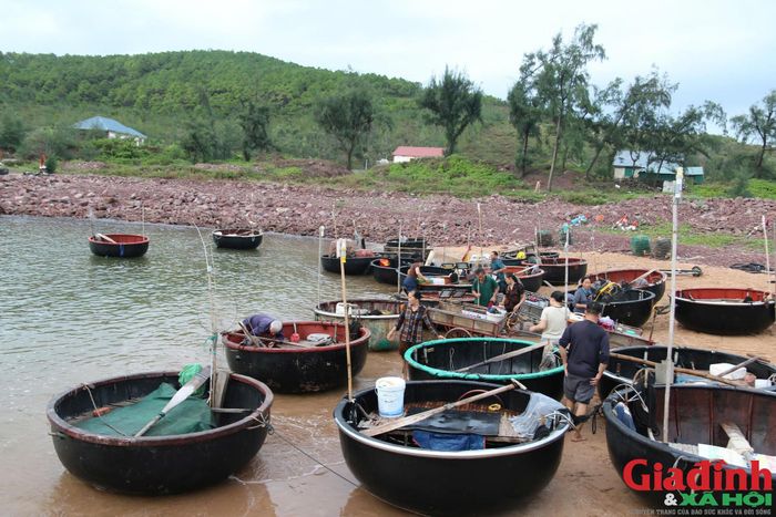 Dụng cụ câu mực khá đơn giản, gồm dây cước, lưỡi câu chùm gắn mồi giả hình tôm phát quang và vợt lưới. (Ảnh: Song Hoàng)