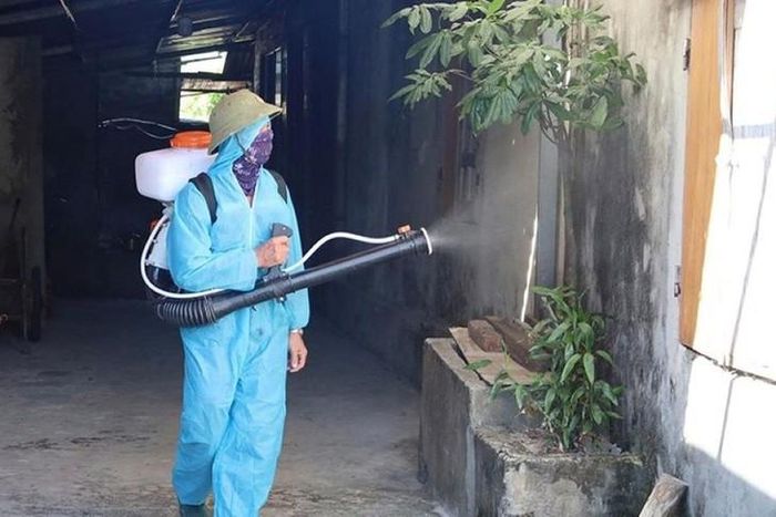 Hà Nội phát động tháng cao điểm, yêu cầu toàn hệ thống chính trị khẩn trương siết chặt biện pháp phòng, chống dịch bệnh sốt xuất huyết.