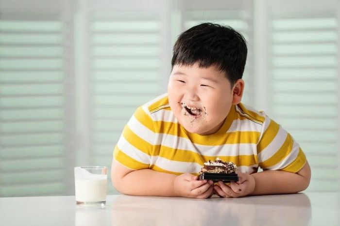 Trẻ thừa cân, béo phì nên hạn chế những thực phẩm giàu calo như bánh kẹo, đồ ăn nhanh, khoai tây chiên, bánh ngọt. Ảnh: Shutterstock.